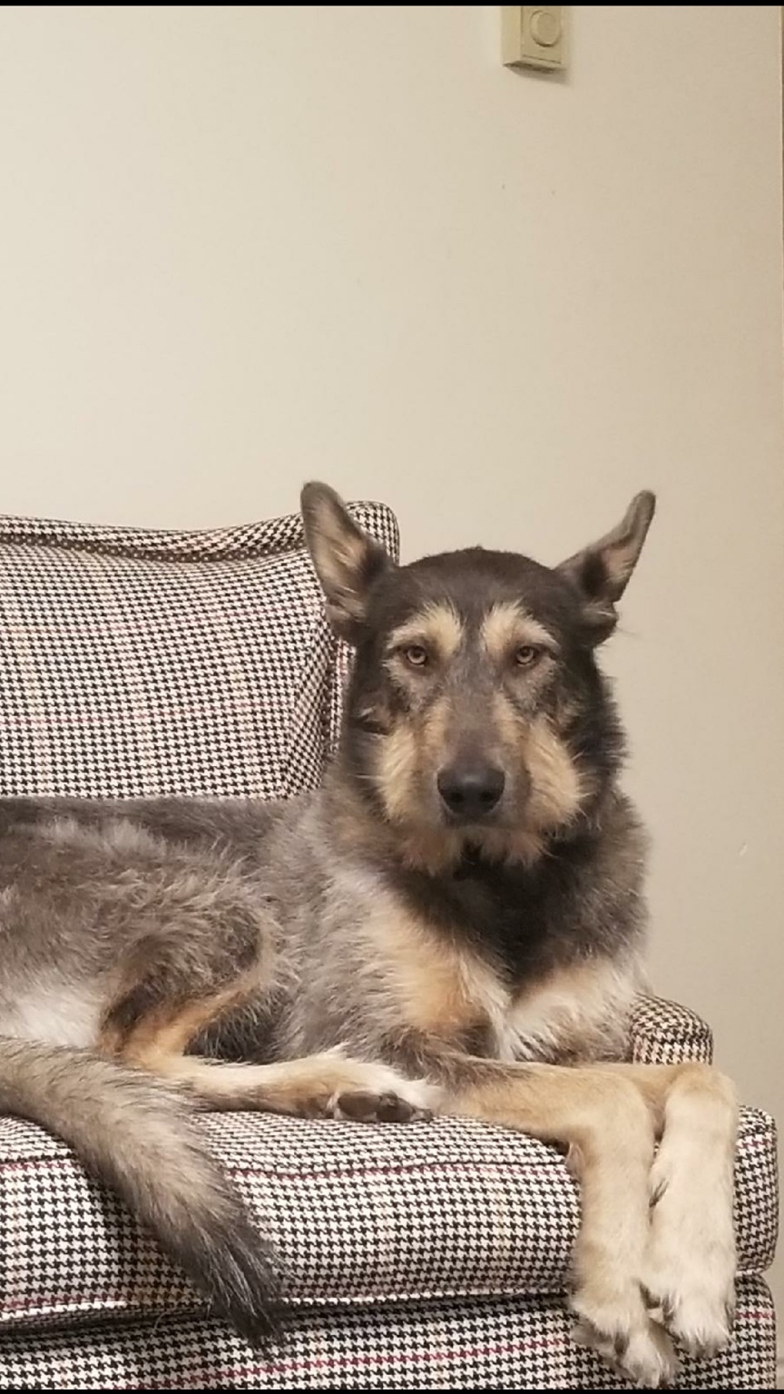 Rocky 'The Duke' Strauss